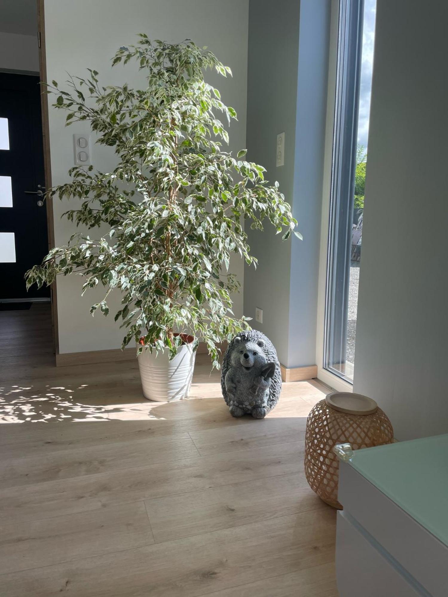 Maison Spacieuse Proche Strasbourg Ostwald Exteriér fotografie